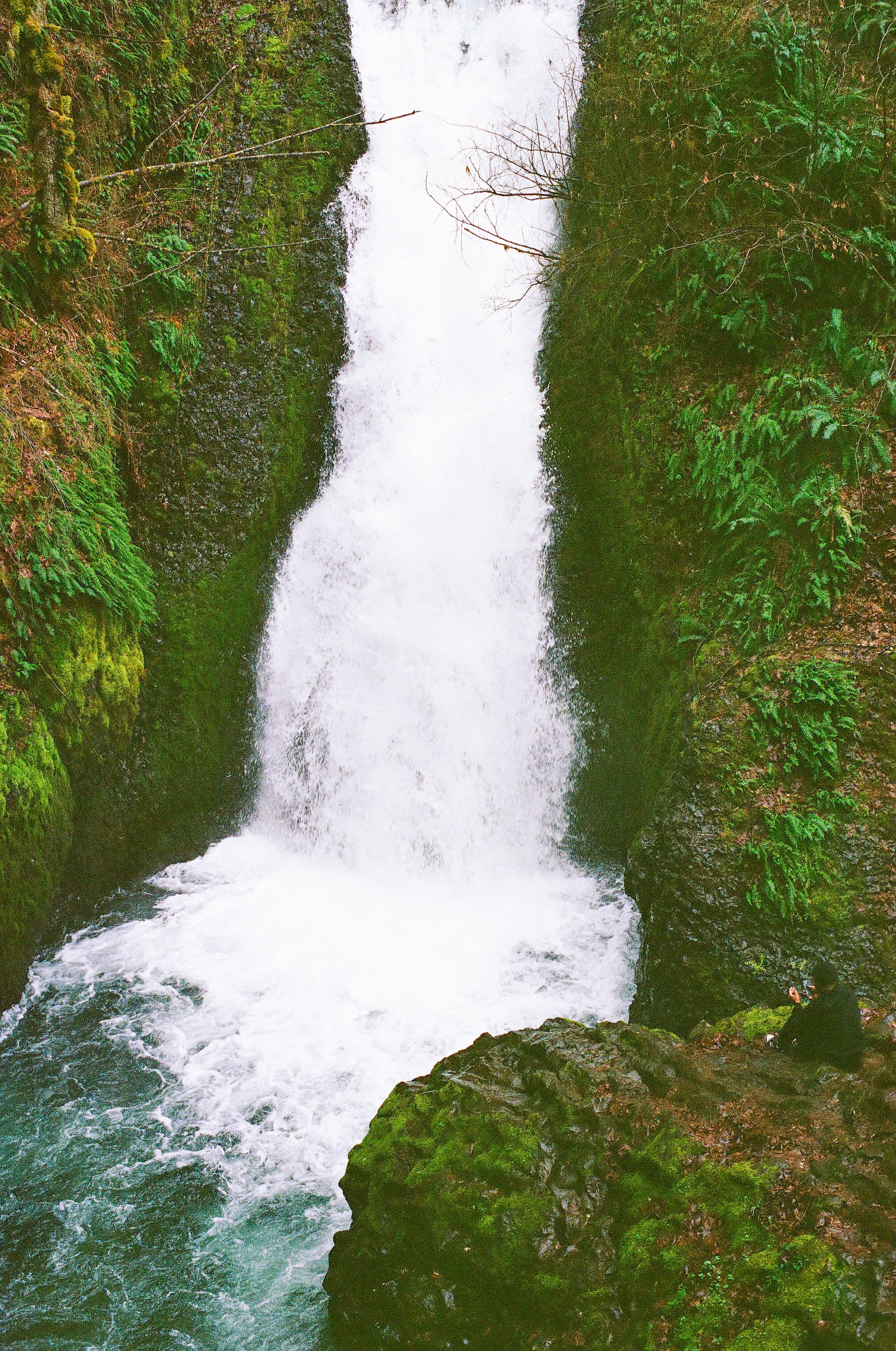Visiting the falls
