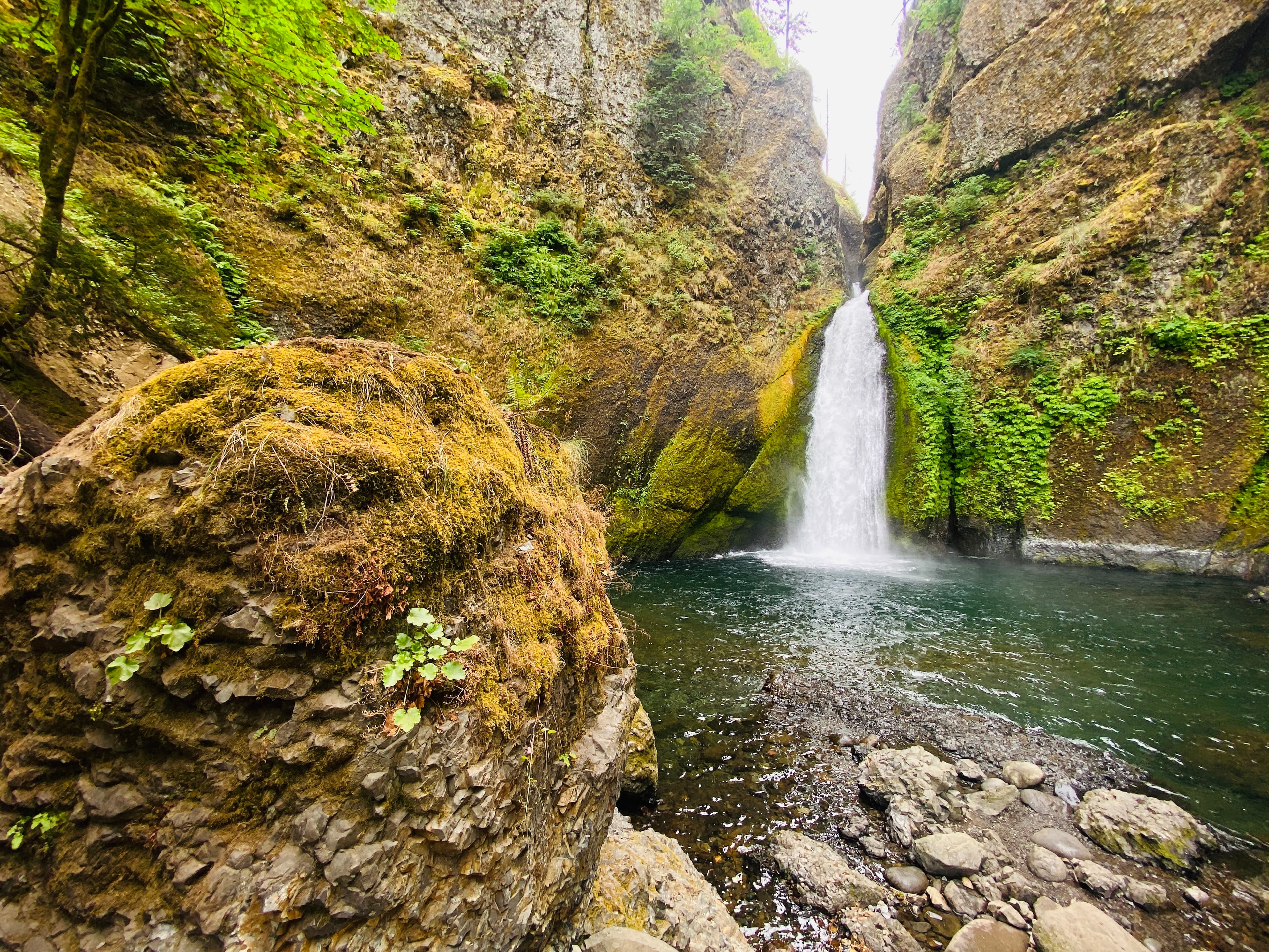 wachella falls